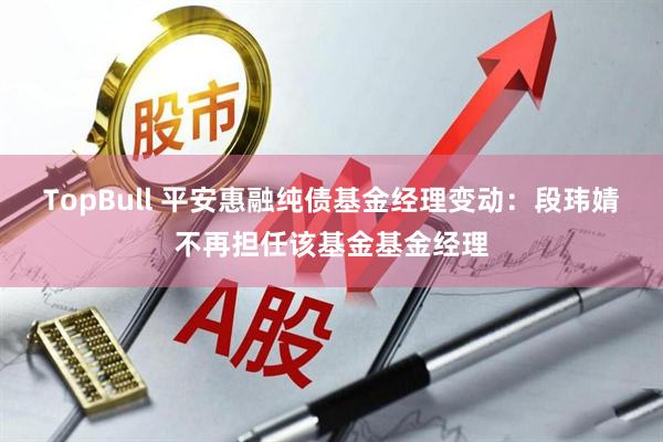 TopBull 平安惠融纯债基金经理变动：段玮婧不再担任该基金基金经理
