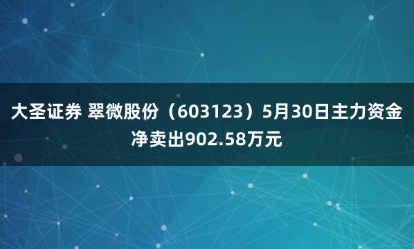 大圣证券 翠微股份（603123）5月30日主力资金净卖出902.58万元